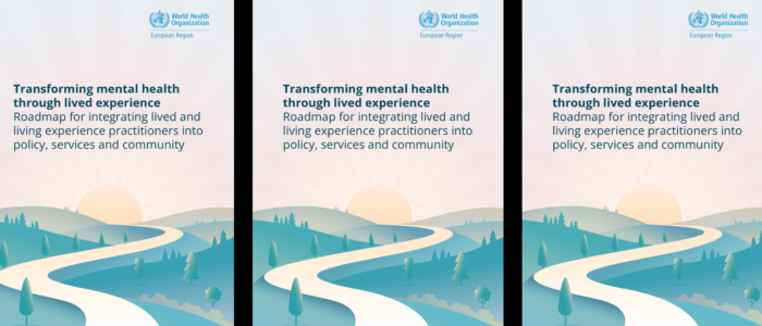 Ludruga sudjelovala u izradi međunarodnog dokumenta o uključivanju peer stručnjaka u mentalnom zdravlju